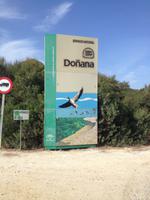 Doñana Naturpark (17)