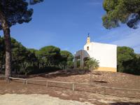 Doñana Naturpark (18)