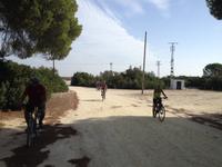 Doñana Naturpark (19)