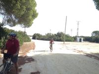 Doñana Naturpark (20)