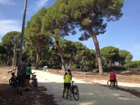 Doñana Naturpark (21)