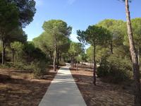 Doñana Naturpark (23)