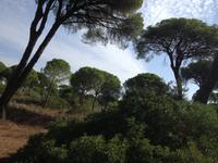 Doñana Naturpark (29)