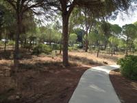 Doñana Naturpark (30)