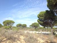 Doñana Naturpark (31)