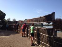 Doñana Naturpark (36)