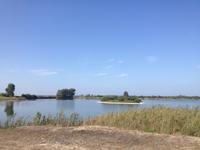 Doñana Naturpark (37)