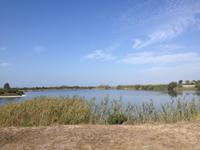 Doñana Naturpark (38)