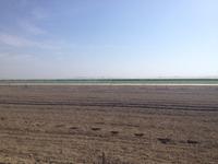 Doñana Naturpark (42)