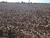 Via Verde Costa Ballena (1)