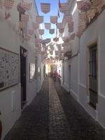 Arcos de la Frontera (19)