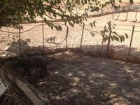 Sierra de Grazalema (23)