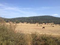 Sierra de Grazalema (32)