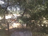 Sierra de Grazalema (34)