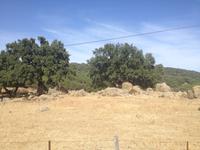 Sierra de Grazalema (36)