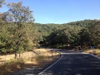 Sierra de Grazalema (37)