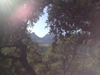 Sierra de Grazalema (38)