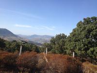 Sierra de Grazalema (41)