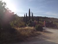 Serrania de Ronda (3)