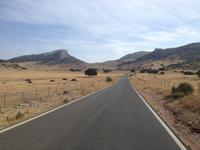 Serrania de Ronda (8)