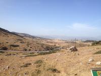 Serrania de Ronda (11)