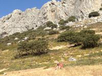 Serrania de Ronda (13)