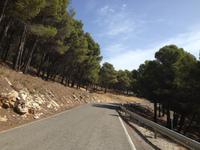 Sierra de las Nieves (6)