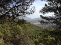 Sierra de las Nieves (8)