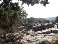 Sierra de las Nieves (9)