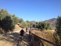 Via Verde de la Sierra (4)