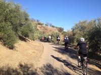 Via Verde de la Sierra (5)