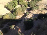 Via Verde de la Sierra (16)