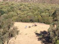 Via Verde de la Sierra (17)