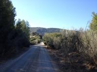 Via Verde de la Sierra (24)