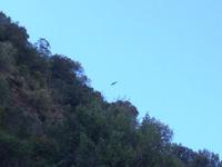 Via Verde de la Sierra (29)