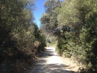 Via Verde de la Sierra (37)