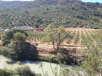 Via Verde de la Sierra (40)