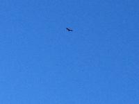 Via Verde de la Sierra (57)