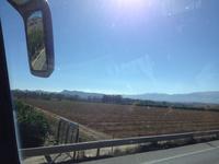 Rückfahrt nach Malaga (2)