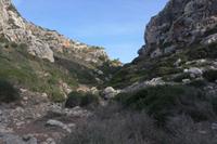 2.Tag Wanderung von Son Bou nach Es Canutells