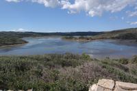 Vogelparadies (die Zugvögel kommen aber später)
