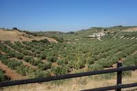 Salken und Sylke Hey