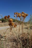 Salken und Sylke Hey