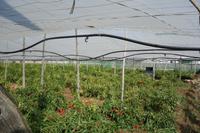 Salken und Sylke Hey