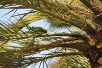 Barcelona Stadtrundfahrt - Park Güell