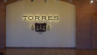 Besichtigung und Weinverkostung in der Bodega Torres