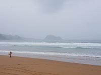 Wanderreise Nord-Spanien – Jakobsweg und Atlantik 9 Tage Wanderreise in Nordspanien mit San Sebastian – Picos de Europa – Jakobsweg – Santiago de Compostela – Port (81)