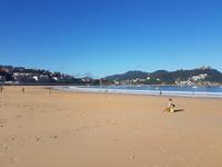 Wanderreise Nord-Spanien – Jakobsweg und Atlantik 9 Tage Wanderreise in Nordspanien mit San Sebastian – Picos de Europa – Jakobsweg – Santiago de Compostela – Port (331)