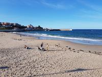 Wanderreise Nord-Spanien – Jakobsweg und Atlantik 9 Tage Wanderreise in Nordspanien mit San Sebastian – Picos de Europa – Jakobsweg – Santiago de Compostela – Port (433)