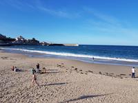 Wanderreise Nord-Spanien – Jakobsweg und Atlantik 9 Tage Wanderreise in Nordspanien mit San Sebastian – Picos de Europa – Jakobsweg – Santiago de Compostela – Port (439)